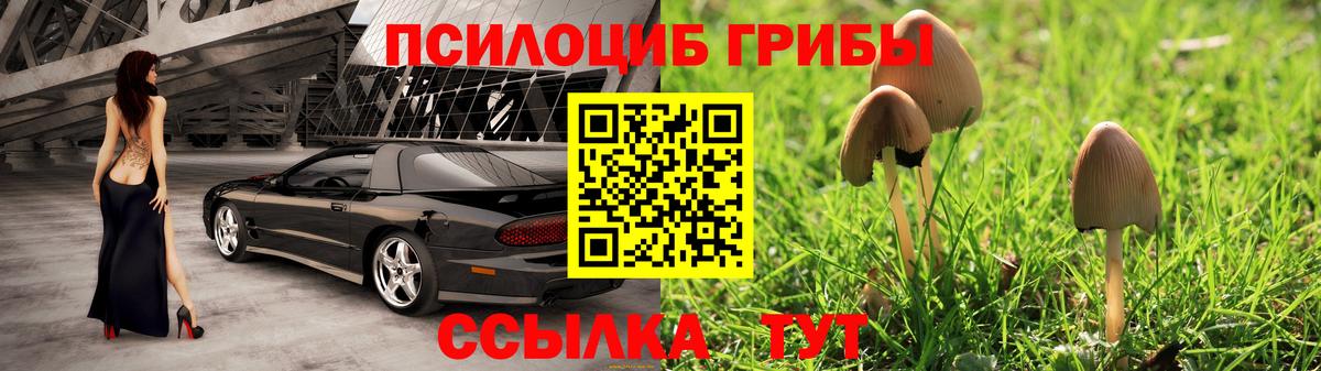 Псилоцибиновые грибы GOLDEN TEACHER  Галлюциногенные грибы мухоморы  Вход с VPN  Кинель 